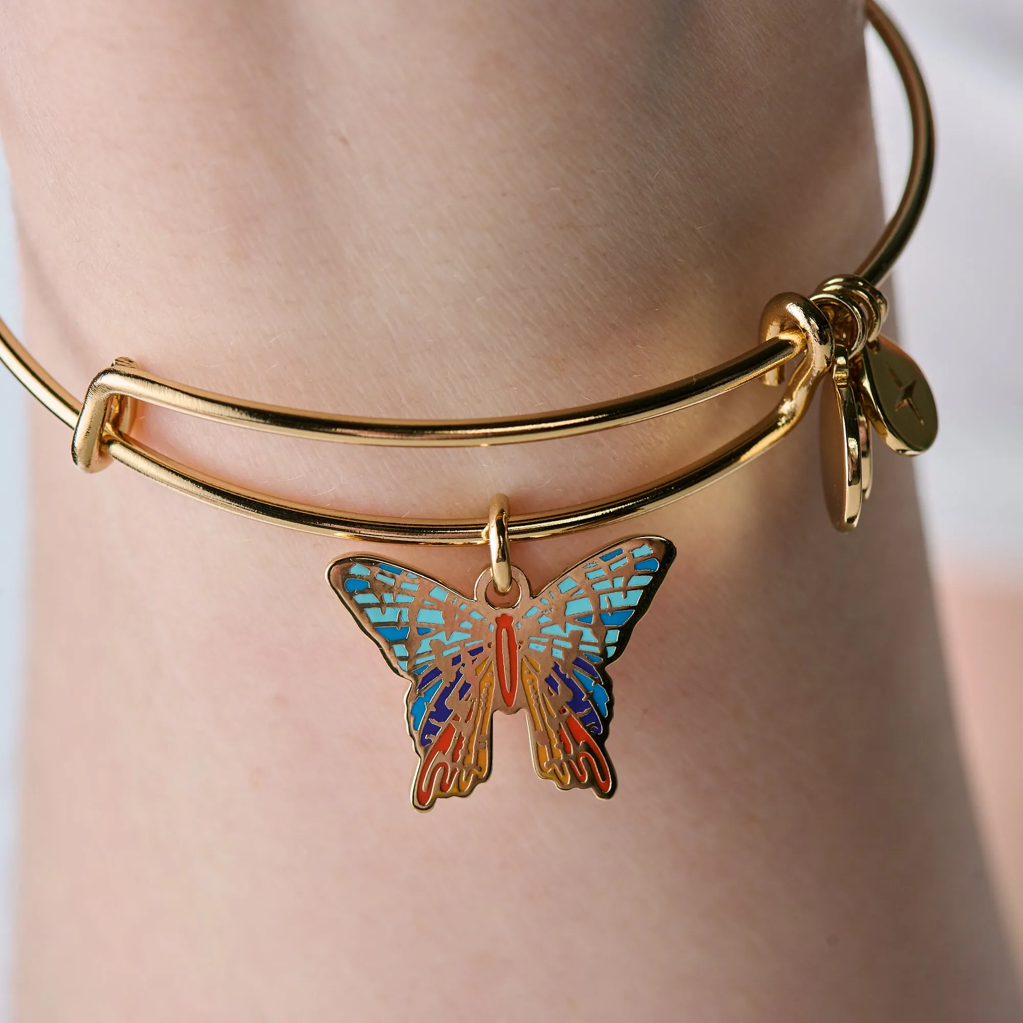 Chrysiridia Rhipheus Butterfly Charm Bangle