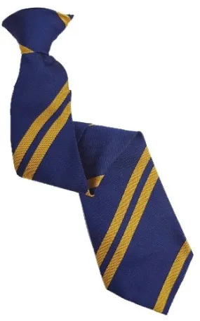 Hetton Academy Clip On Tie