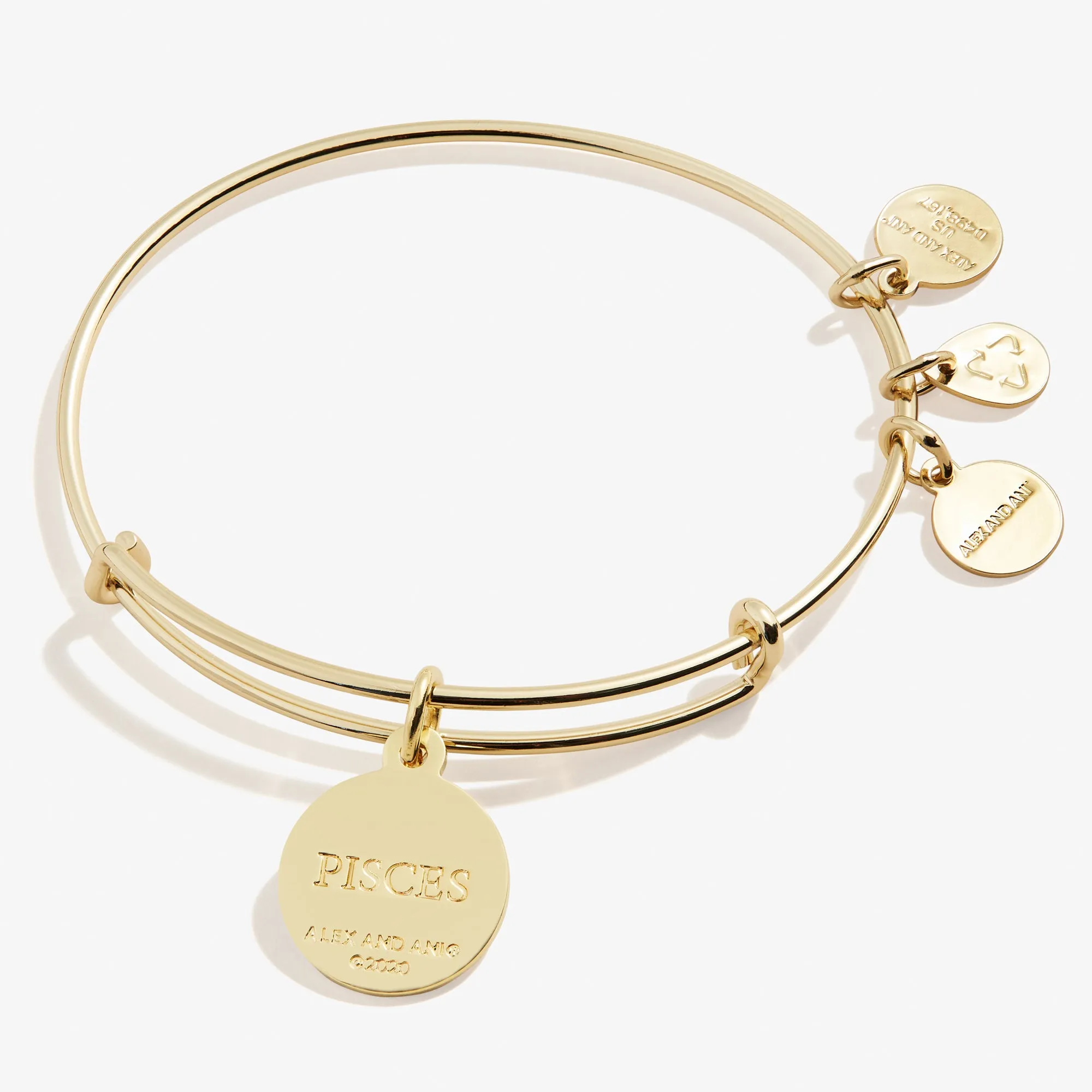 Pisces Zodiac Charm Bangle, Color