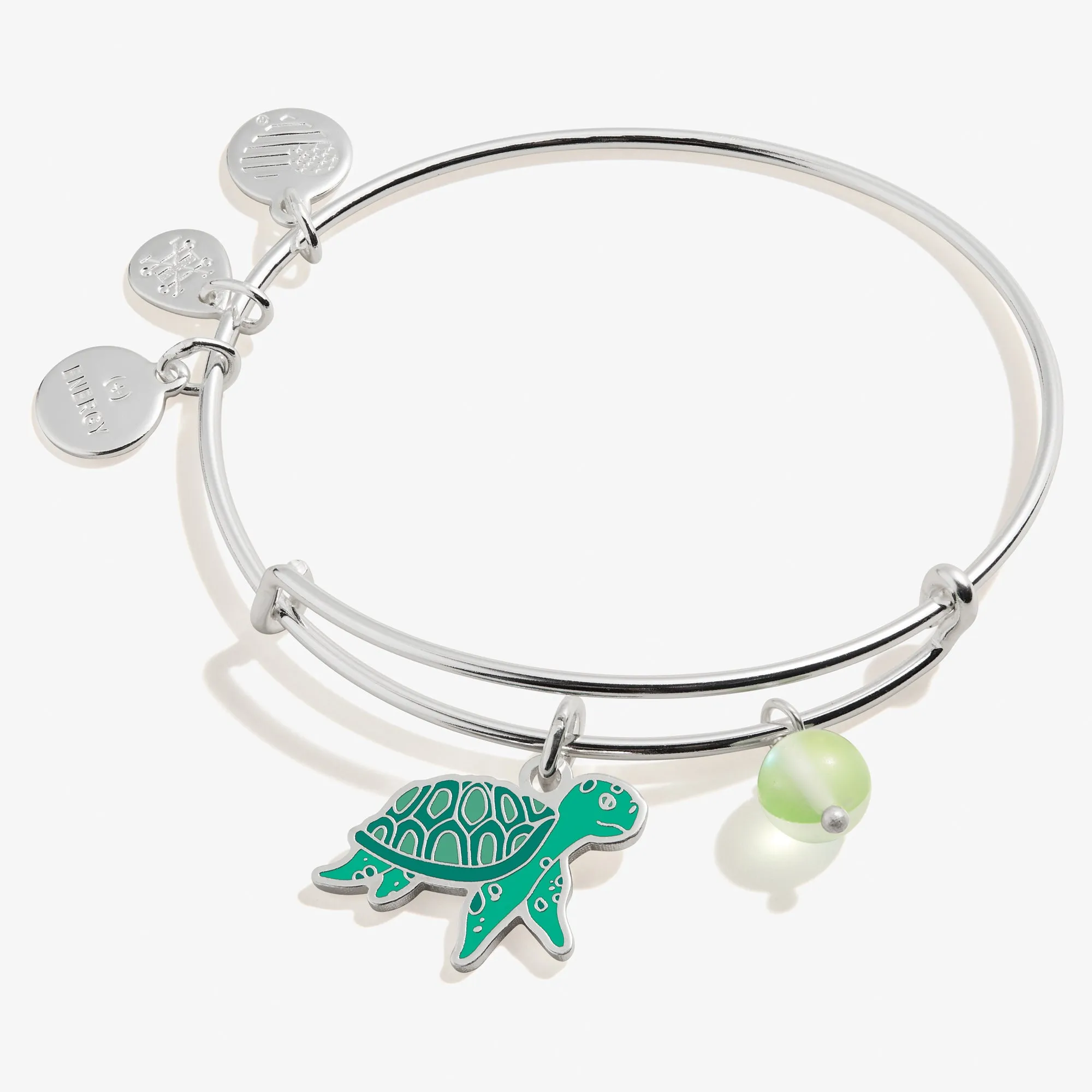 Turtle Duo Charm Bangle Bracelet